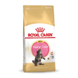 Karma dla kota Royal Canin Maine Coon Kitten 10 kg