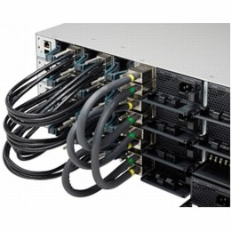 Kabel Sieciowy Sztywny UTP Kategoria 6 CISCO STACK-T1-50CM= Czarny 50 cm